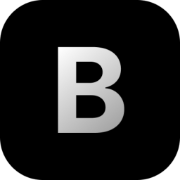 Logo Blink