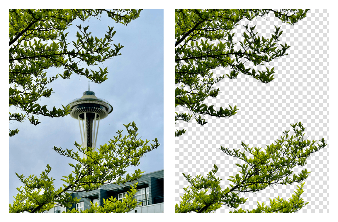 Po lewej zdjęcie wieży Space Needle za gałęziami drzewa, po prawej same gałęzie wycięte przez Qwen-Image-2.1, z przezroczystym tłem pokazanym jako szachownica